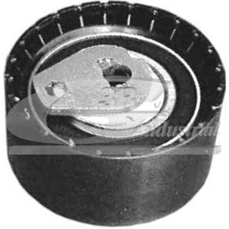 3RG 13609 RODILLO TENSOR