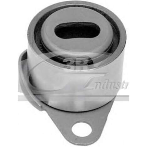 3RG 13619 RODILLO TENSOR
