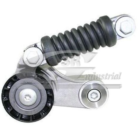 3RG 13630 RODILLO TENSOR
