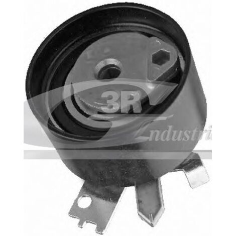 3RG 13631 RODILLO TENSOR