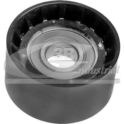 3RG 13643 RODILLO TENSOR