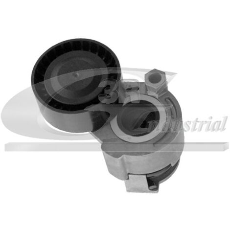 3RG 13655 RODILLO TENSOR