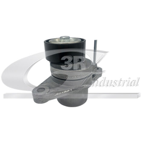 3RG 13661 RODILLO TENSOR DISTRIBUCIÃƒâ€œN