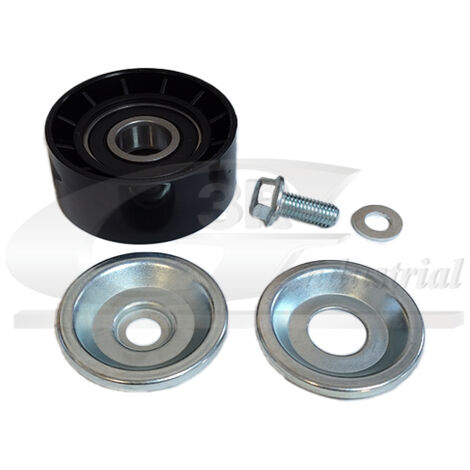 3RG 13666 RODILLO TENSOR
