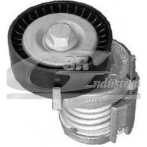 3RG 13713 RODILLO TENSOR
