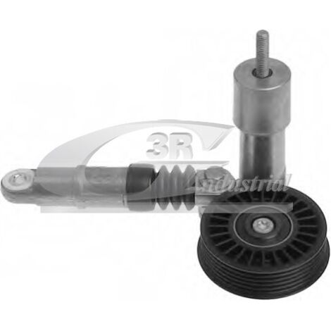 3RG 13714 RODILLO TENSOR