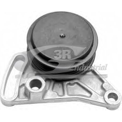 3RG 13717 RODILLO TENSOR