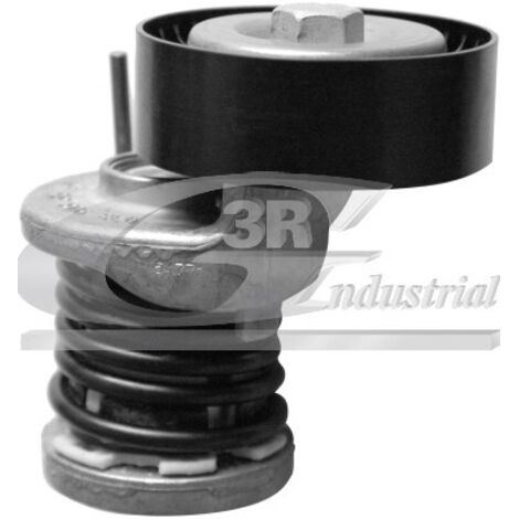 3RG 13718 RODILLO TENSOR