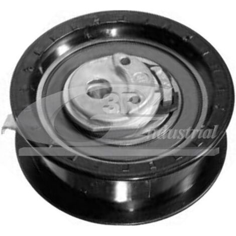 3RG 13723 RODILLO TENSOR
