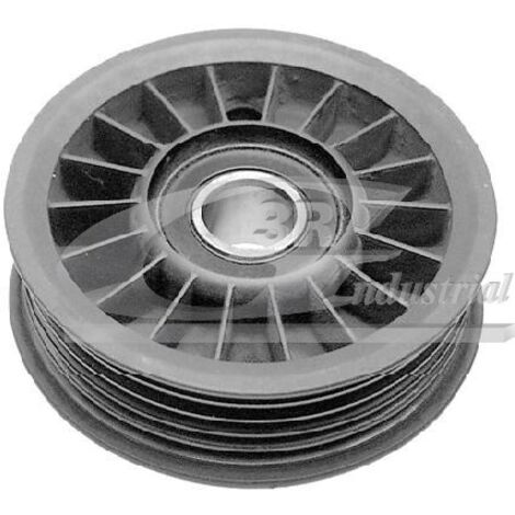 3RG 13742 RODILLO TENSOR