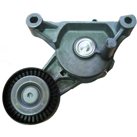 3RG 13746 RODILLO TENSOR