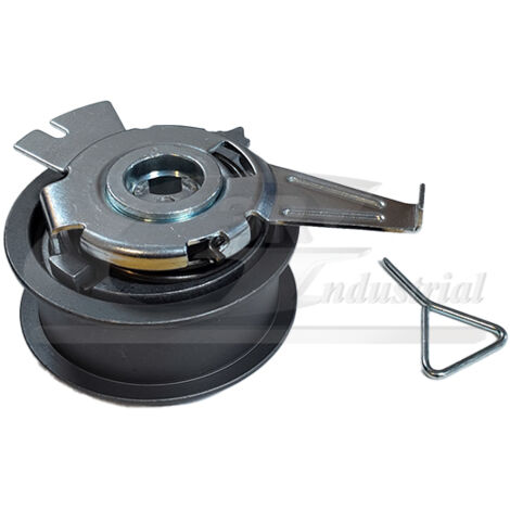 3RG 13752 RODILLO TENSOR