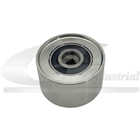 3RG 13754 RODILLO TENSOR