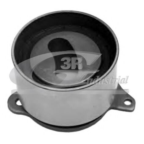 3RG 13807 RODILLO TENSOR