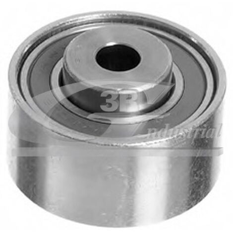 3RG 13821 RODILLO TENSOR