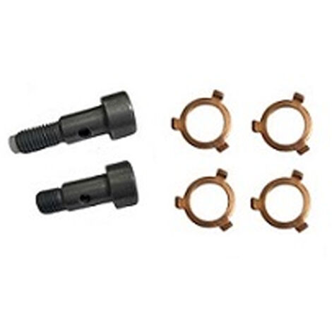 3RG 19225 KIT TORNILLOS TURBO