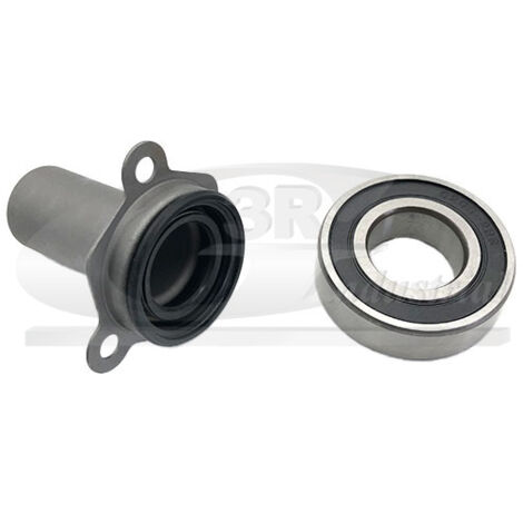 3RG 24260 KIT GUIA EMBRAGUE CON RODAMIENTO (2PCS)