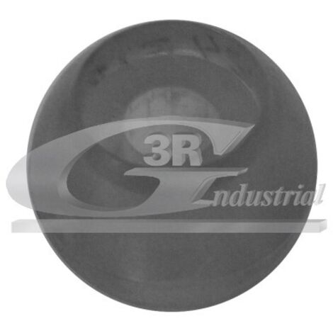3RG 24719 CASQUILLO PALANCA