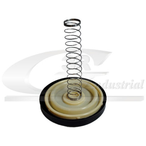 3RG 48909 CUBIERTA VÃÂLVULA