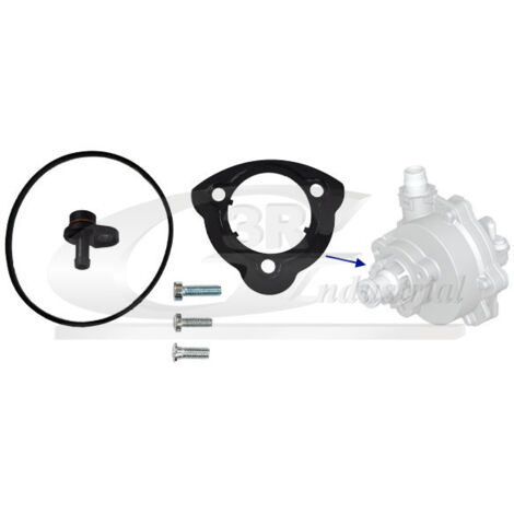 3RG 74103 KIT REPARACIÃƒâ€œN BOMBA VACÃƒÂO (3PCS)