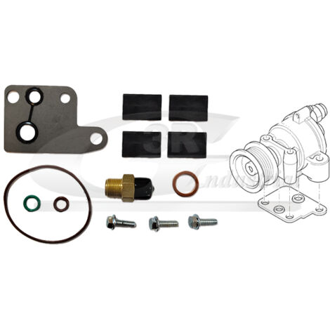 3RG 74303 KIT REPARACIÃƒâ€œN BOMBA VACÃƒÂO (13PCS)