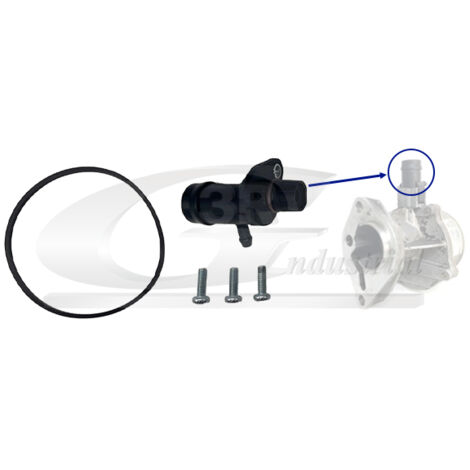3RG 74602 KIT REPARACIÃƒâ€œN BOMBA VACÃƒÂO (5PCS)