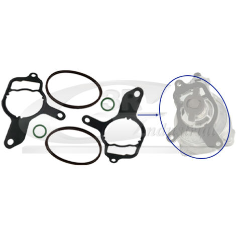 3RG 74701 KIT REPARACIÃƒâ€œN BOMBA VACÃƒÂO (6PCS)