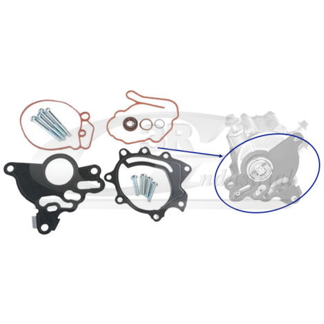 3RG 74702 KIT REPARACIÃƒâ€œN BOMBA VACÃƒÂO (15PCS)