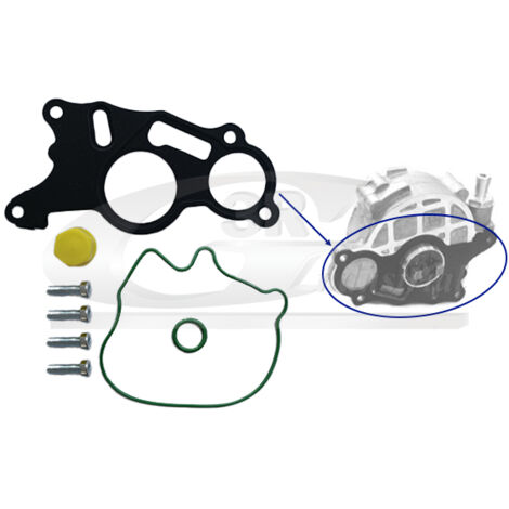 3RG 74710 KIT REPARACIÃƒâ€œN BOMBA VACÃƒÂO (8PCS)