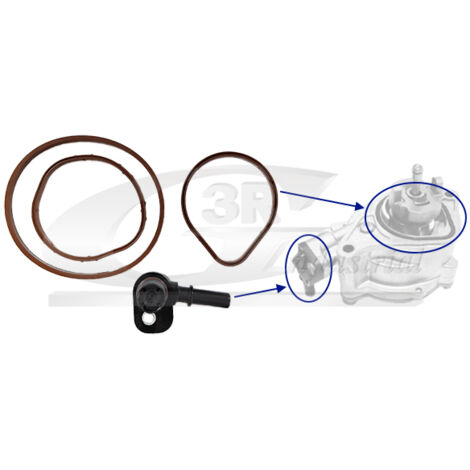 3RG 74801 KIT REPARACIÃƒâ€œN BOMBA VACÃƒÂO (4PCS)