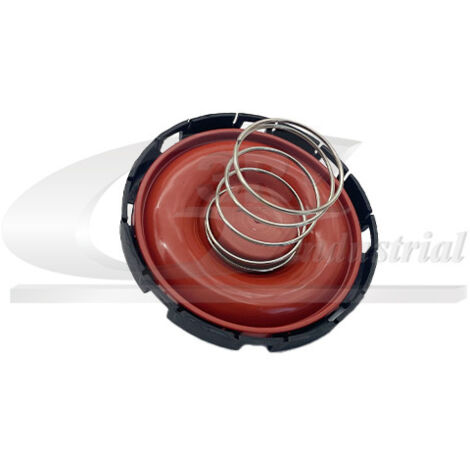 3RG 81115 CUBIERTA VÃƒÂLVULA