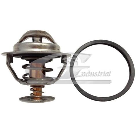 3RG 82223 TERMOSTATO