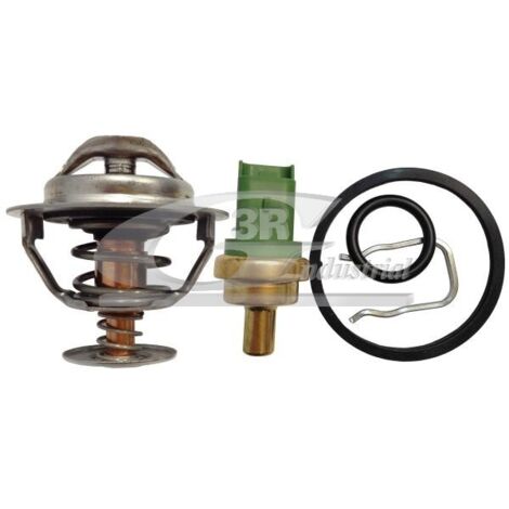 3RG 82224 KIT TERMOSTATO Y SENSOR (5PCS)