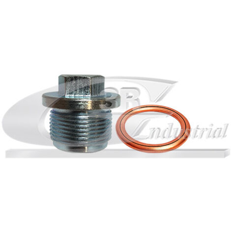 3RG 83523 KIT TAPÓN CÃÂRTER Y JUNTA (2PCS)