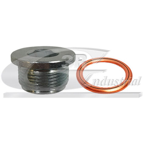 3RG 83539 KIT TAPÃƒâ€œN CÃƒÂRTER Y JUNTA (2PCS)