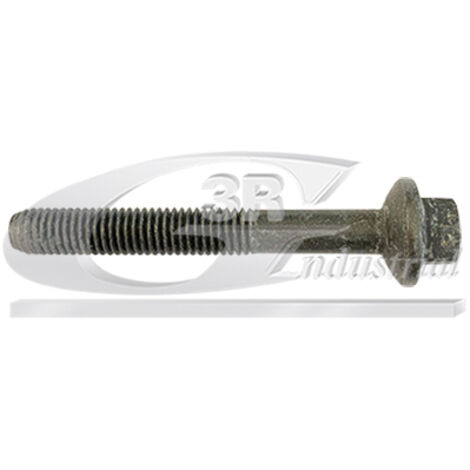 3RG 83631 TORNILLO INYECTOR