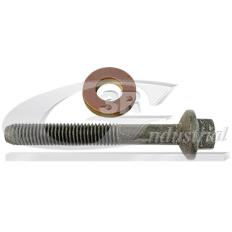 3RG 83632 KIT INYECTORES (2PCS)