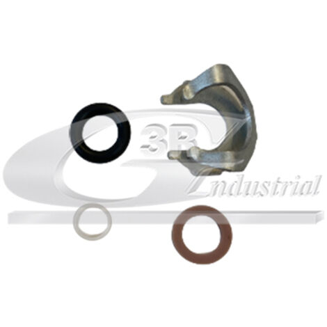 3RG 83760 KIT INYECCION GASOLINA (4PCS)