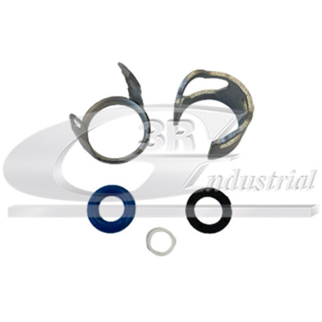 3RG 83766 KIT INYECCION GASOLINA (5PCS)