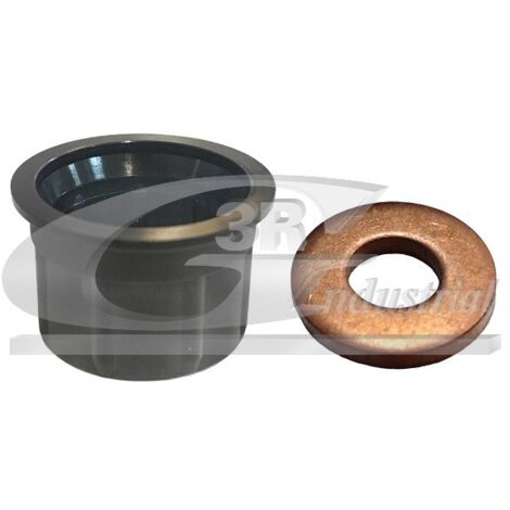 3RG 84233 KIT INYECTORES (2PCS)