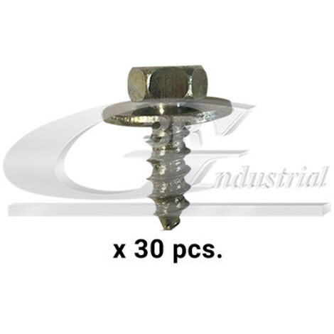 3RG 86113 TORNILLO CARROCERÃÂA (PACK 30 PCS)