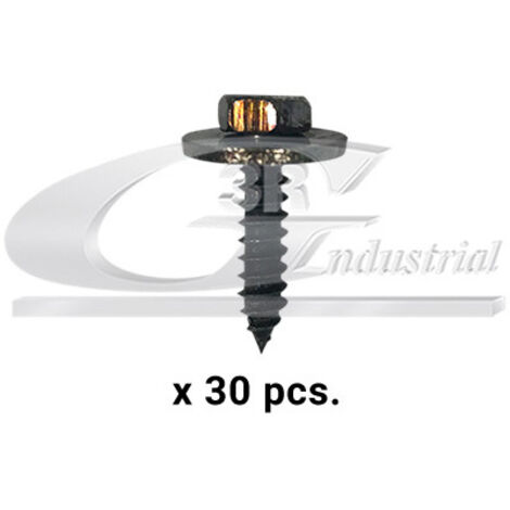 3RG 86121 TORNILLO CARROCERÃÂA (PACK 30 PCS)