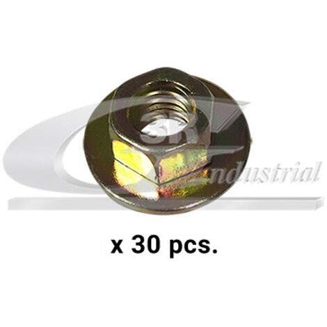 3RG 86127 TUERCA M6 (PACK 30 PCS)
