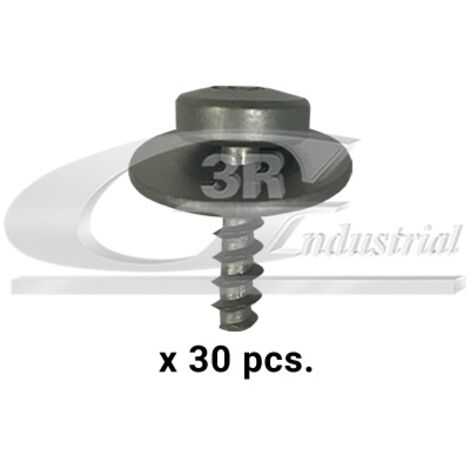 3RG 86139 TORNILLO CARROCERIA (PACK 30 PCS)