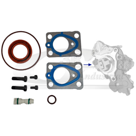 3RG 86213 KIT REPARACIÃƒâ€œN BOMBA INYECCIÃƒâ€œN (10PCS)