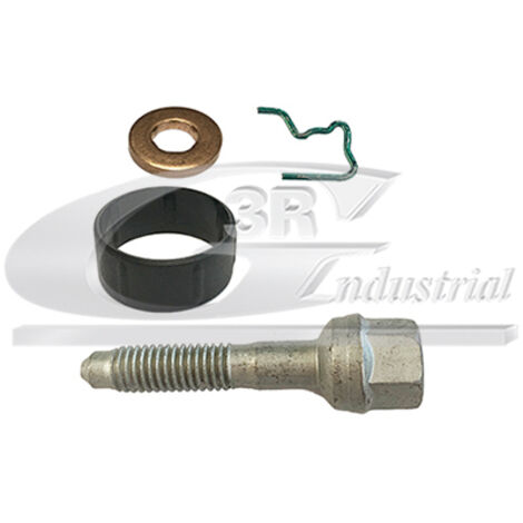 3RG 86273 KIT INYECCION (4PCS)