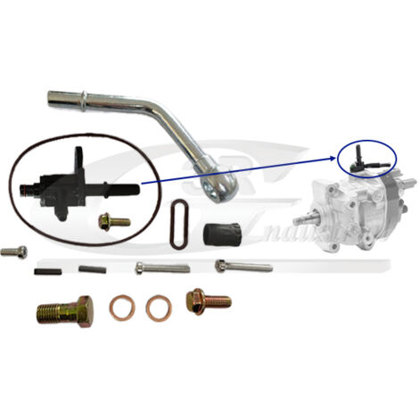 3RG 86303 KIT REPARACIÃƒâ€œN BOMBA INYECCIÃƒâ€œN (15PCS)