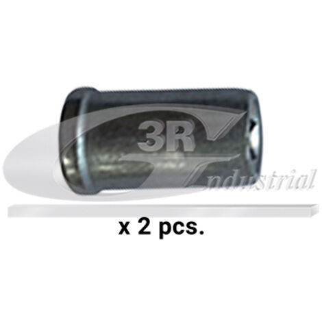 3RG 87208 KIT INYECCION (2PCS)