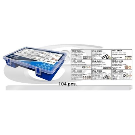 3RG 96023 CAJA INYECCION DIESEL (104 PCS)
