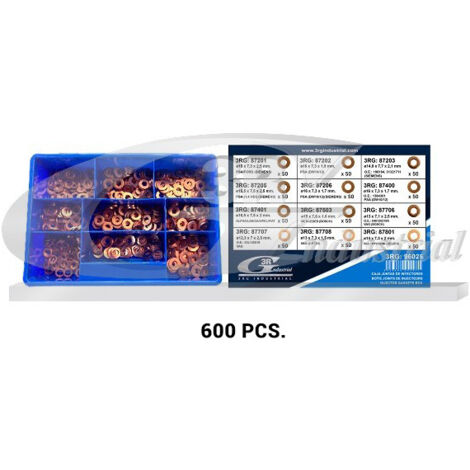 3RG 96025 CAJA ARANDELAS INYECCION (600 PCS)